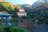 光明寺記主庭園の紅葉