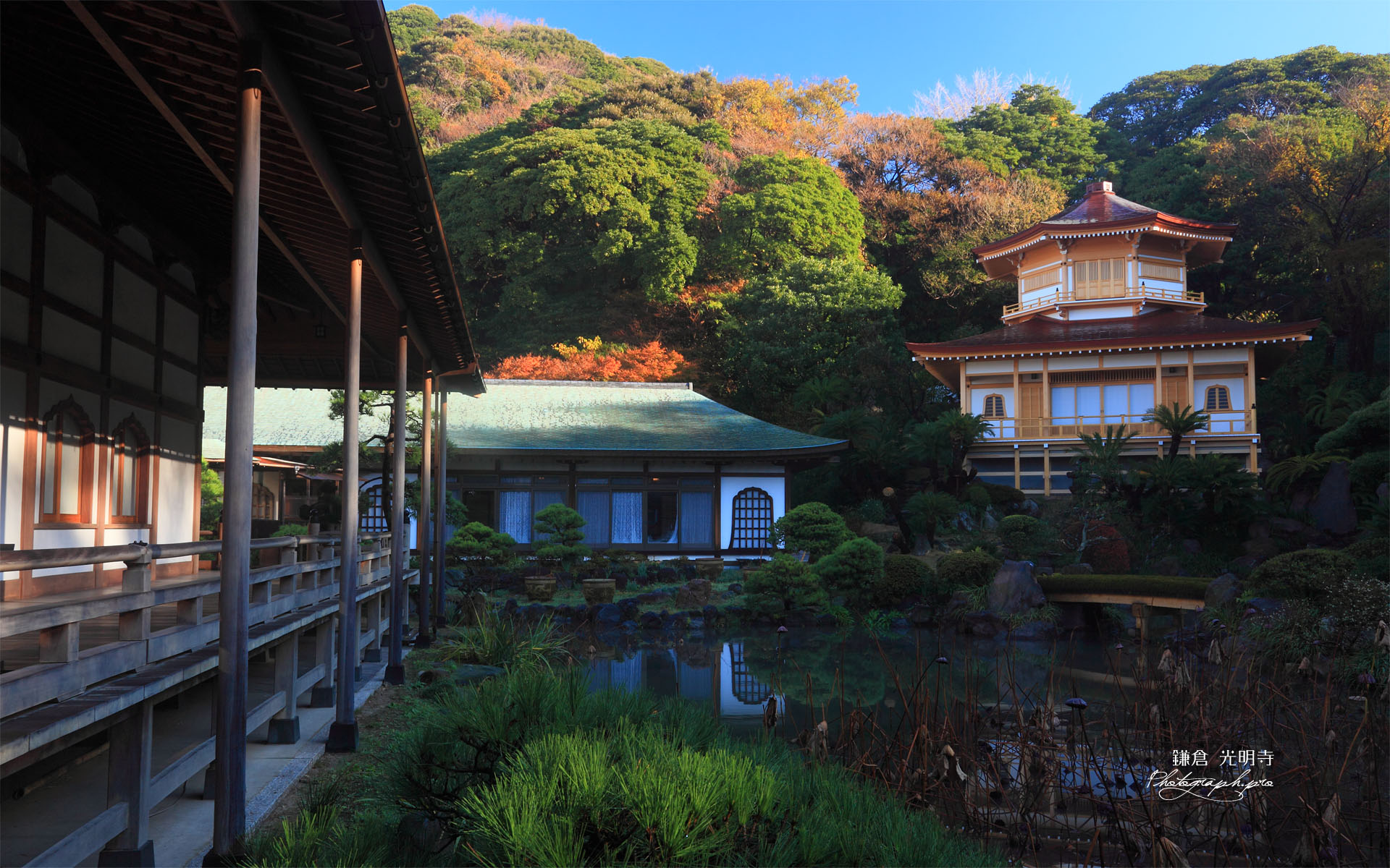 浄土宗庭園の紅葉
