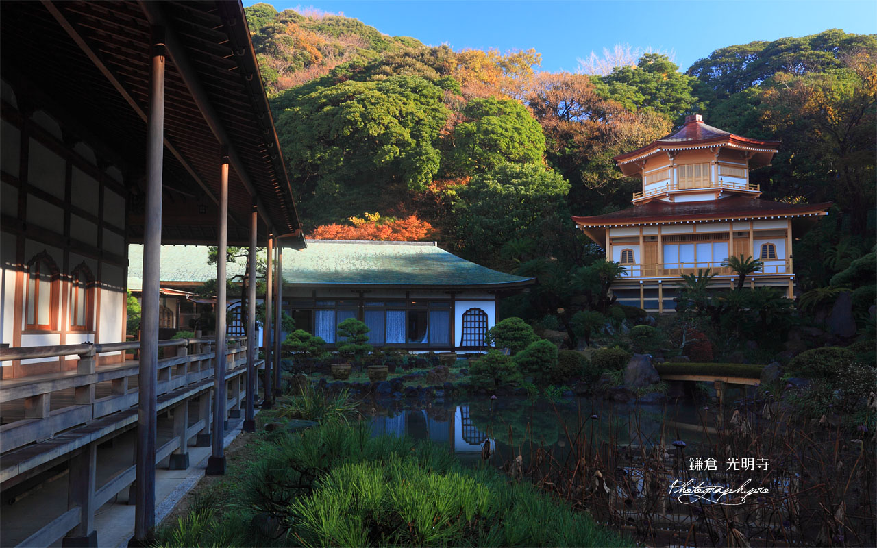 浄土宗庭園の紅葉 壁紙