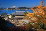 光明寺山門と富士山