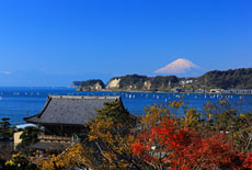 光明寺と富士山