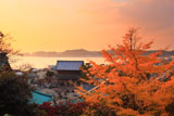 光明寺山門と材木座海岸