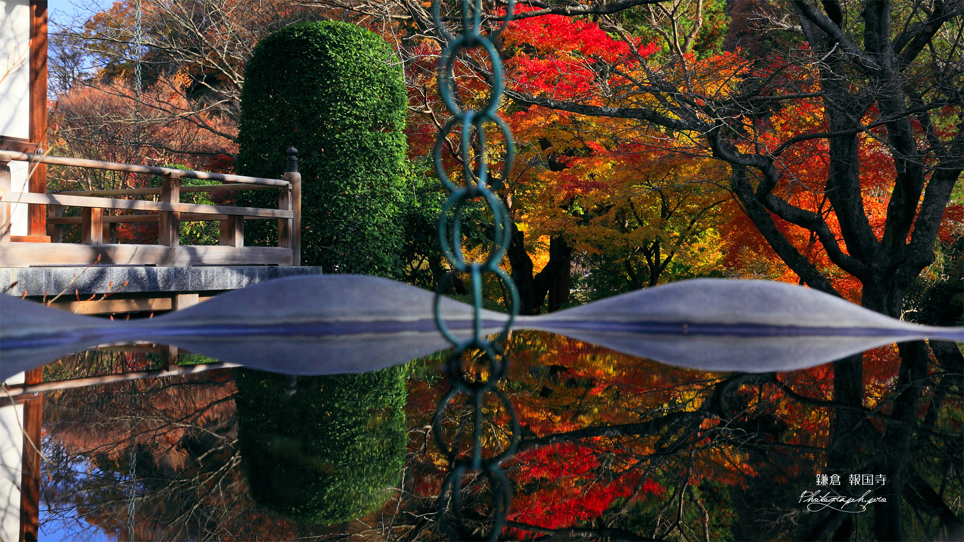 鎌倉報国寺 天水桶に映る紅葉