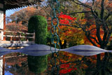 鎌倉報国寺 天水桶に映る紅葉