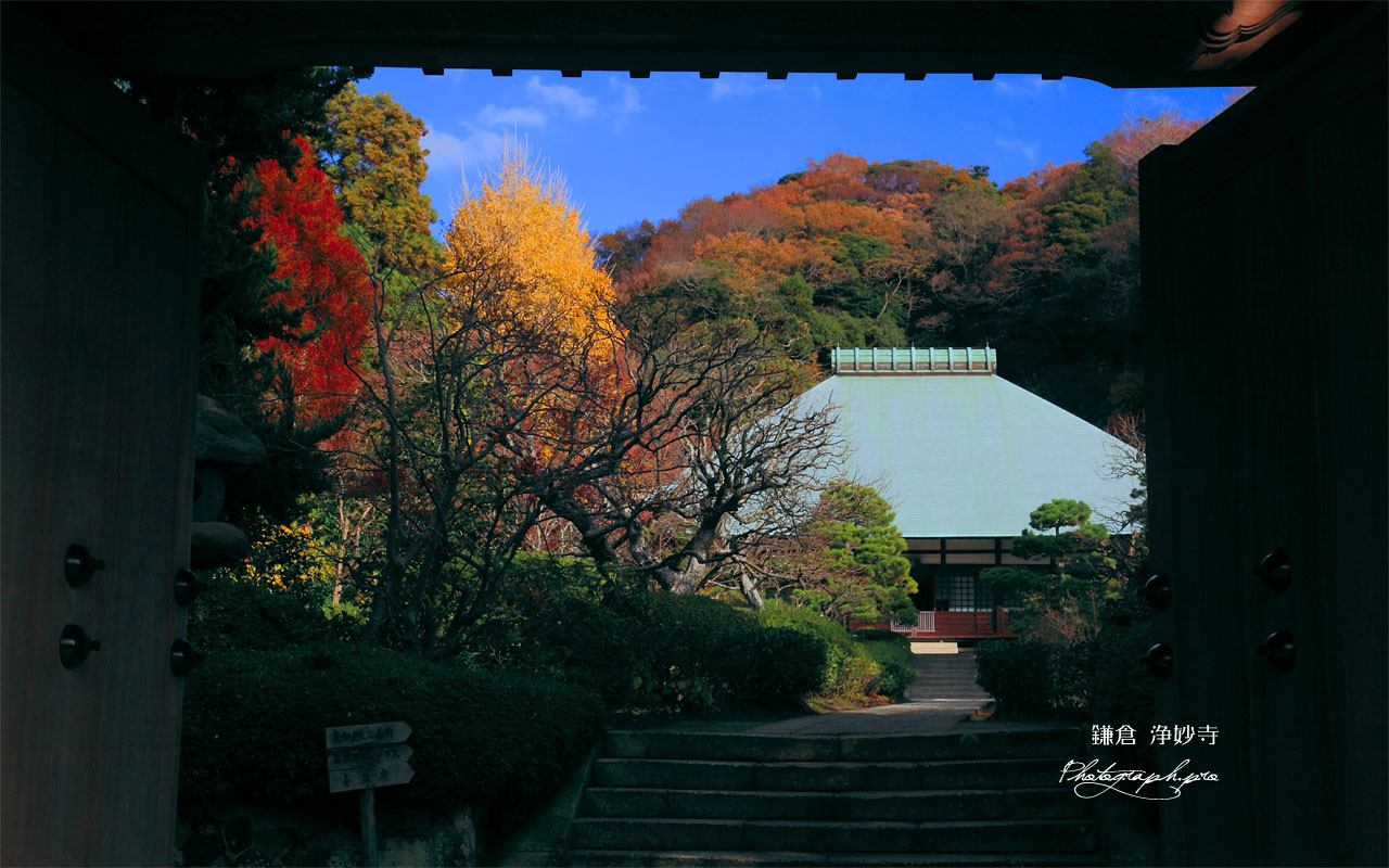 浄妙寺山門から 壁紙