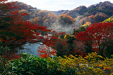 紅葉の衣張山