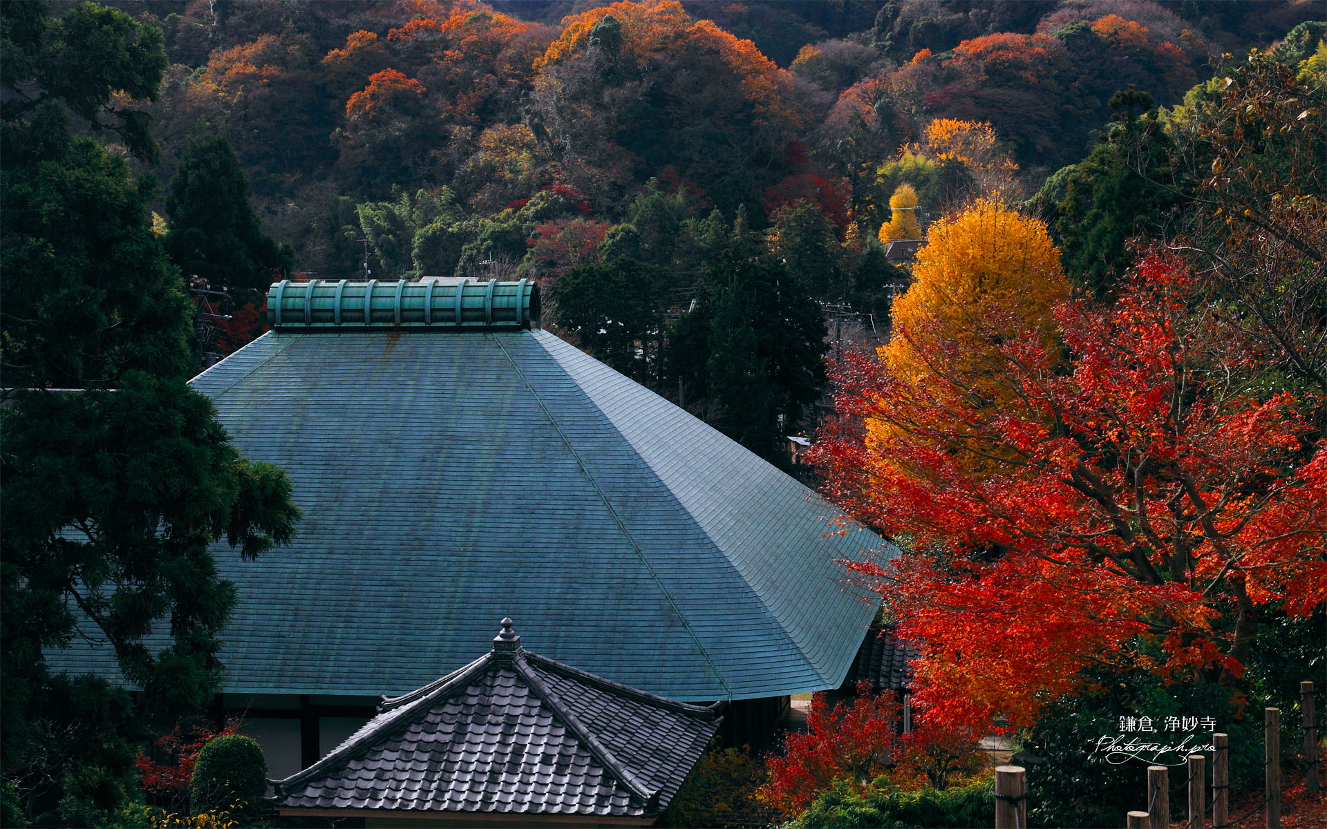 紅葉と浄妙寺本堂