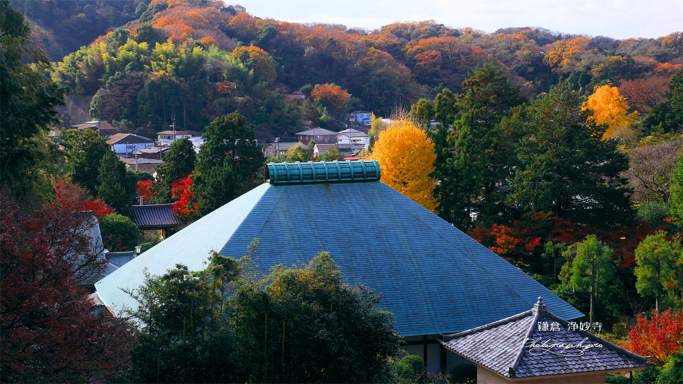 晩秋の浄明寺 壁紙