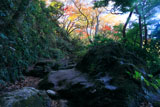 化粧坂の紅葉
