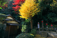 黙仙寺