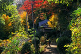 紅葉の鎌倉黙仙寺参道