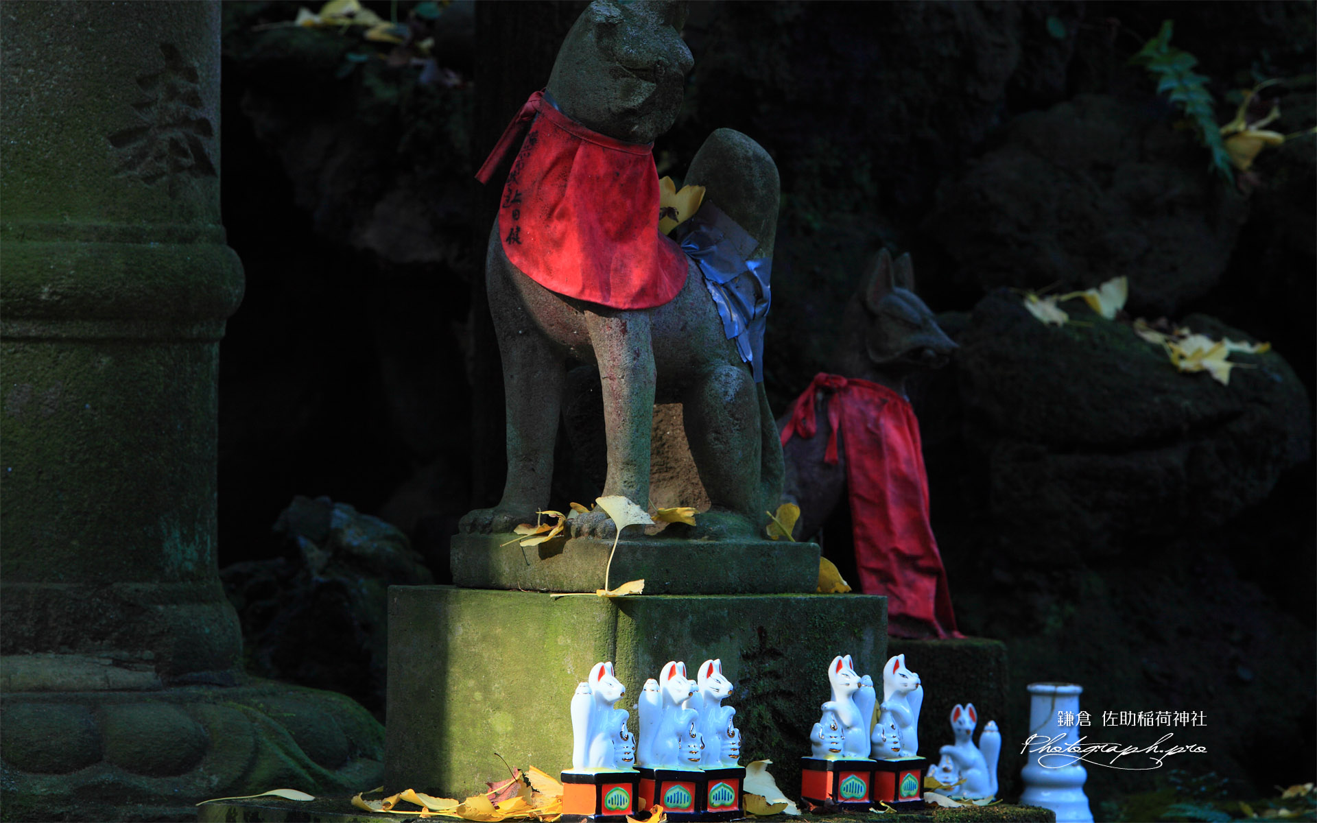 佐助稲荷神社 奉納狛狐と白狐