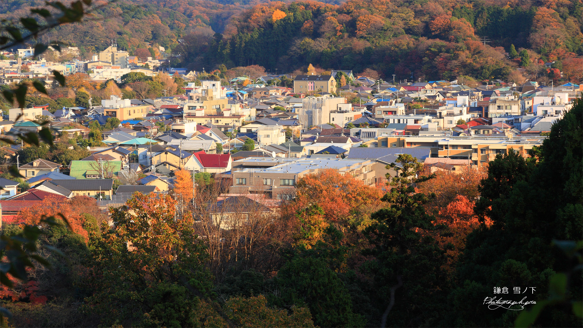 鎌倉扇ヶ谷 紅葉の雪ノ下