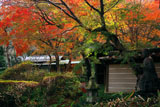 瑞泉寺 仏像と燈籠に紅葉
