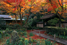 瑞泉寺