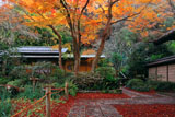 瑞泉寺 紅葉の南芳庵