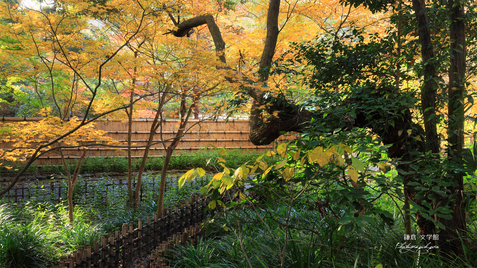 鎌倉文学館の冬紅葉