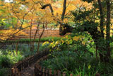 鎌倉文学館の冬紅葉