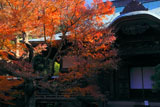 鎌倉妙法寺 紅葉の本堂