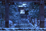 常照皇寺山門から雪の参道
