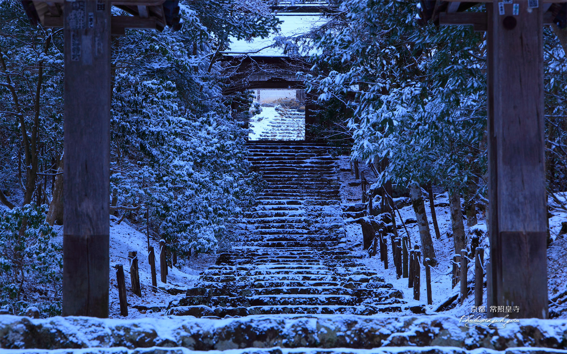 常照皇寺山門から雪の参道