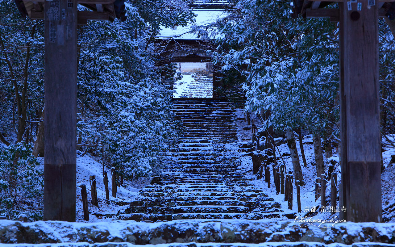 常照皇寺山門から雪の参道 の壁紙 1280x800