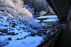 常照皇寺