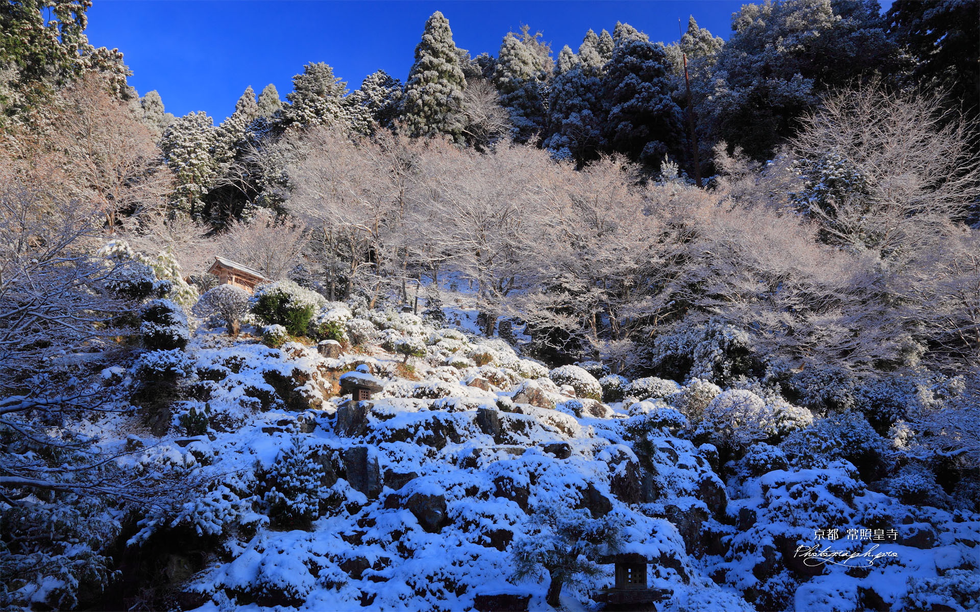 常照皇寺の雪化粧の庭園