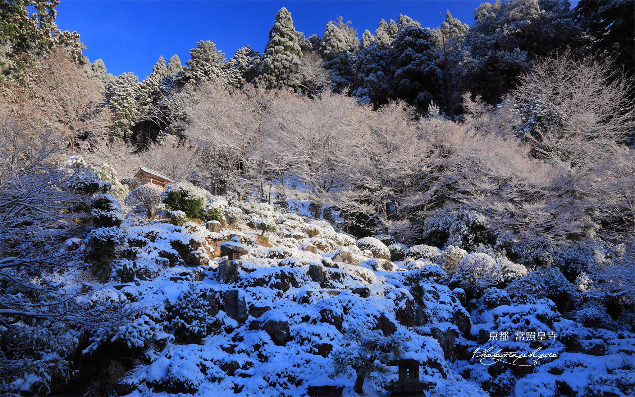 常照皇寺の雪化粧の庭園 壁紙
