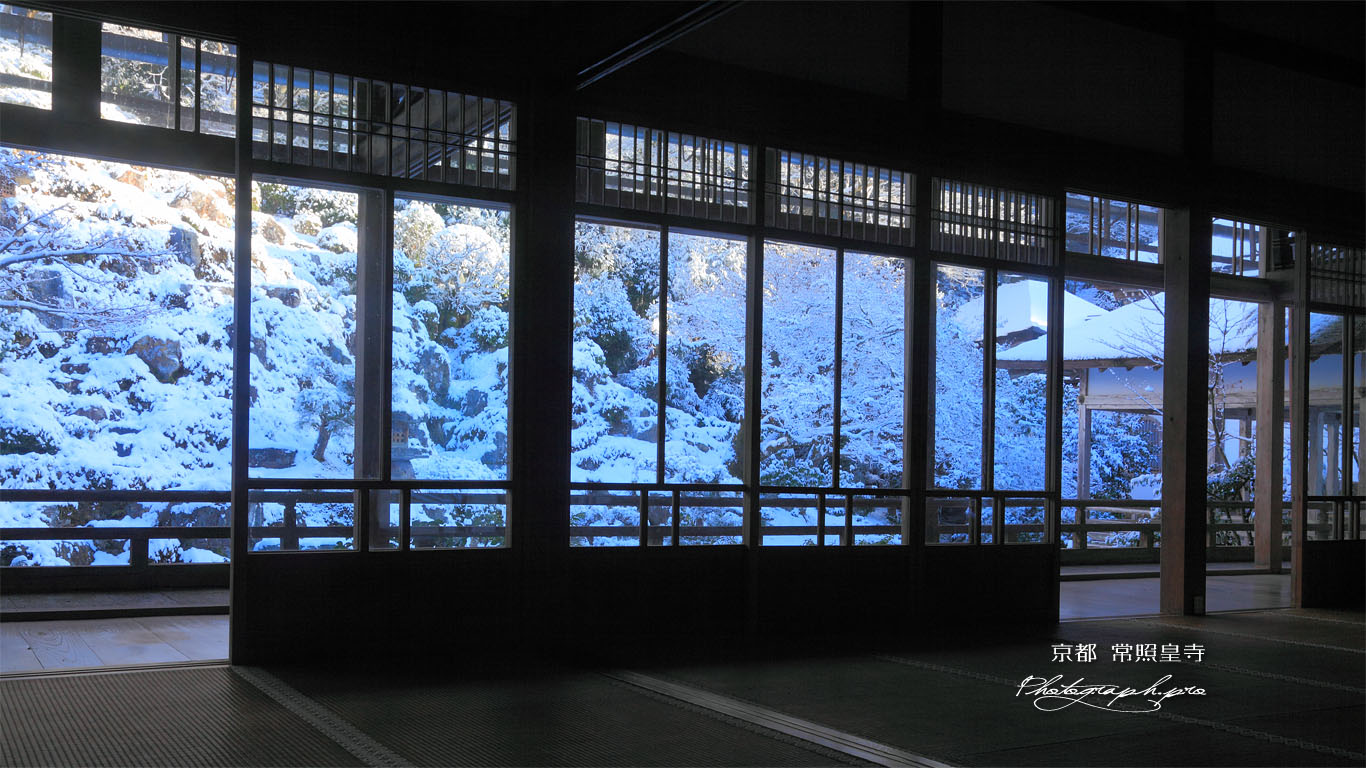常照皇寺の方丈から 壁紙