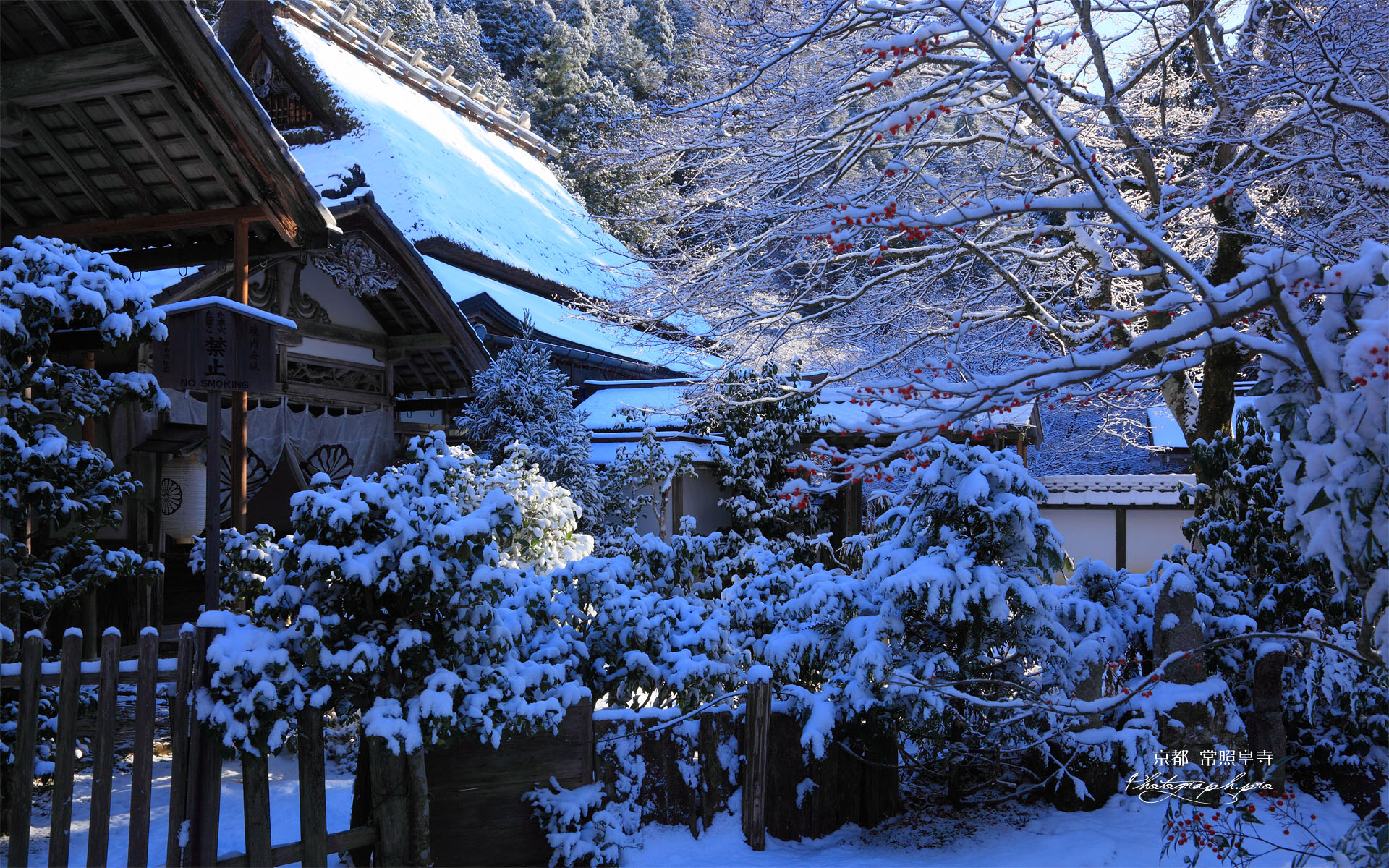 常照皇寺書院