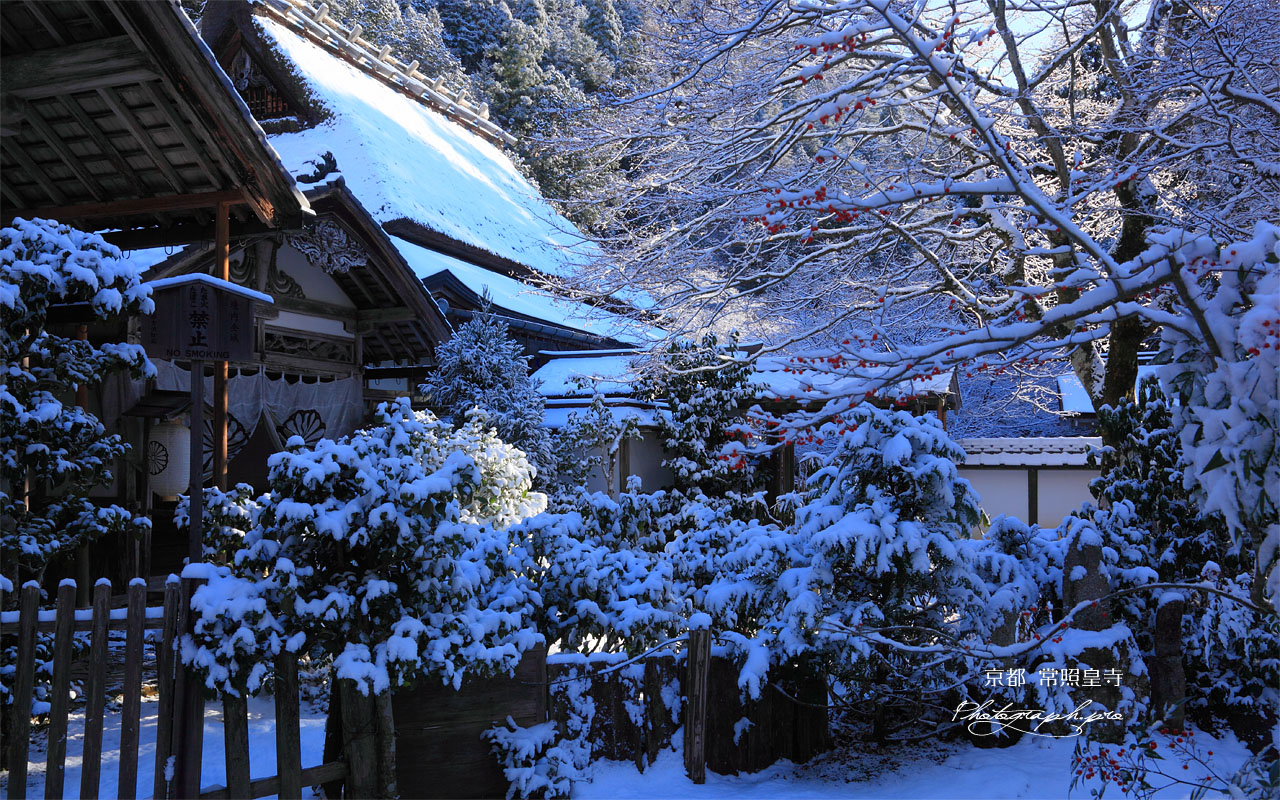 常照皇寺書院 壁紙