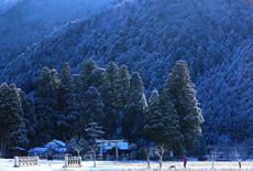 山国神社
