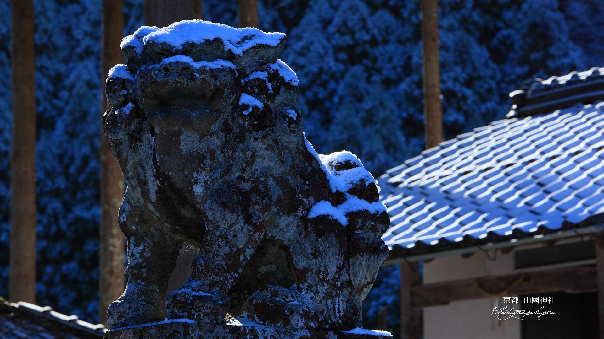 京都山国神社の狛犬
