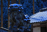 京都山国神社の狛犬