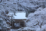 峰定寺の雪の華