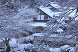 京都 雪化粧の峰定寺本坊