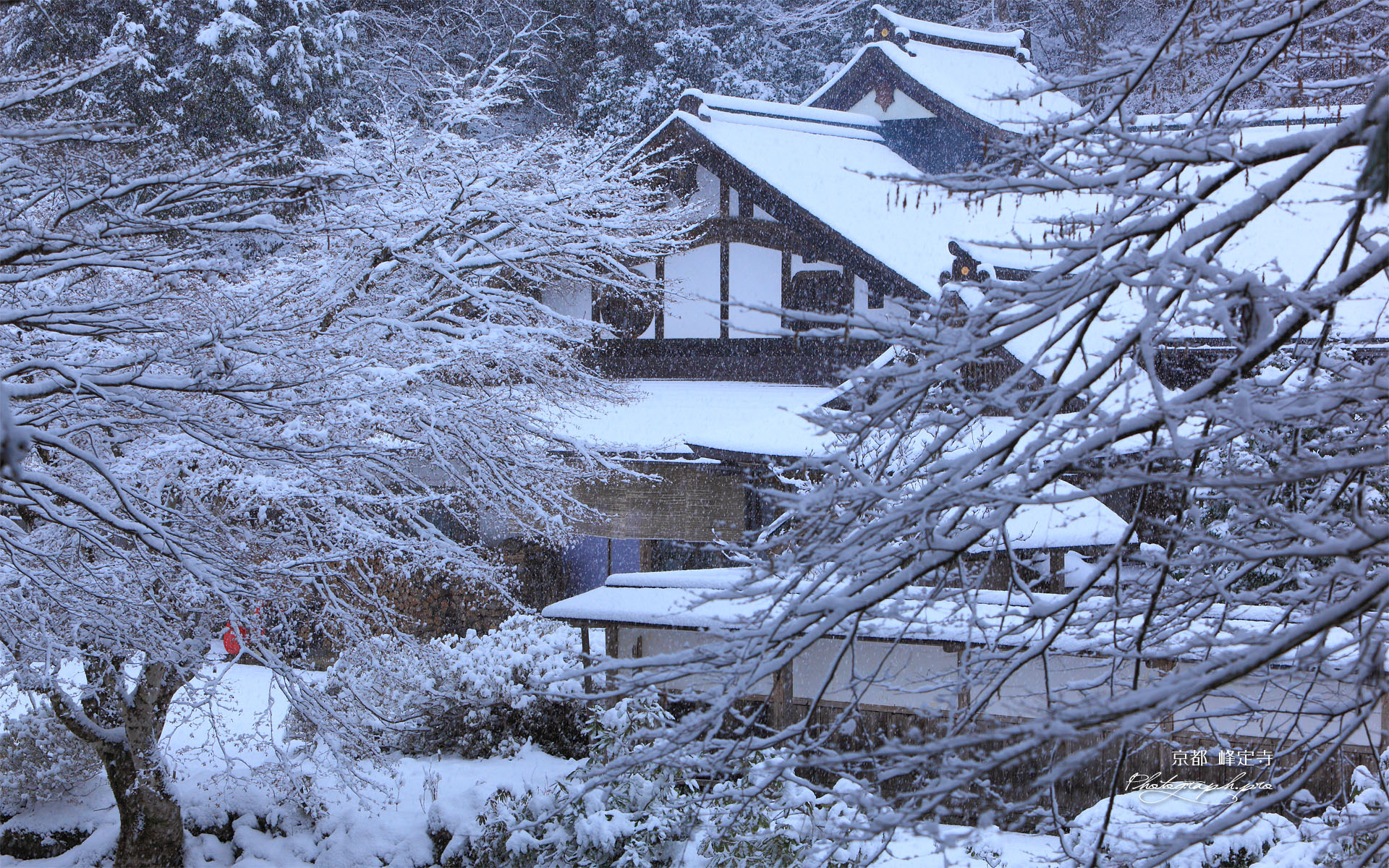 京都 雪化粧の峰定寺本坊