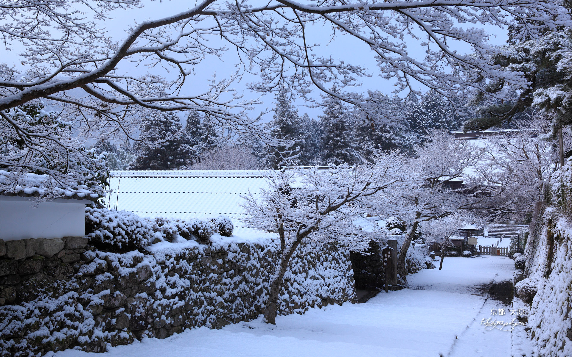 大原 雪景色の実光院と勝林院