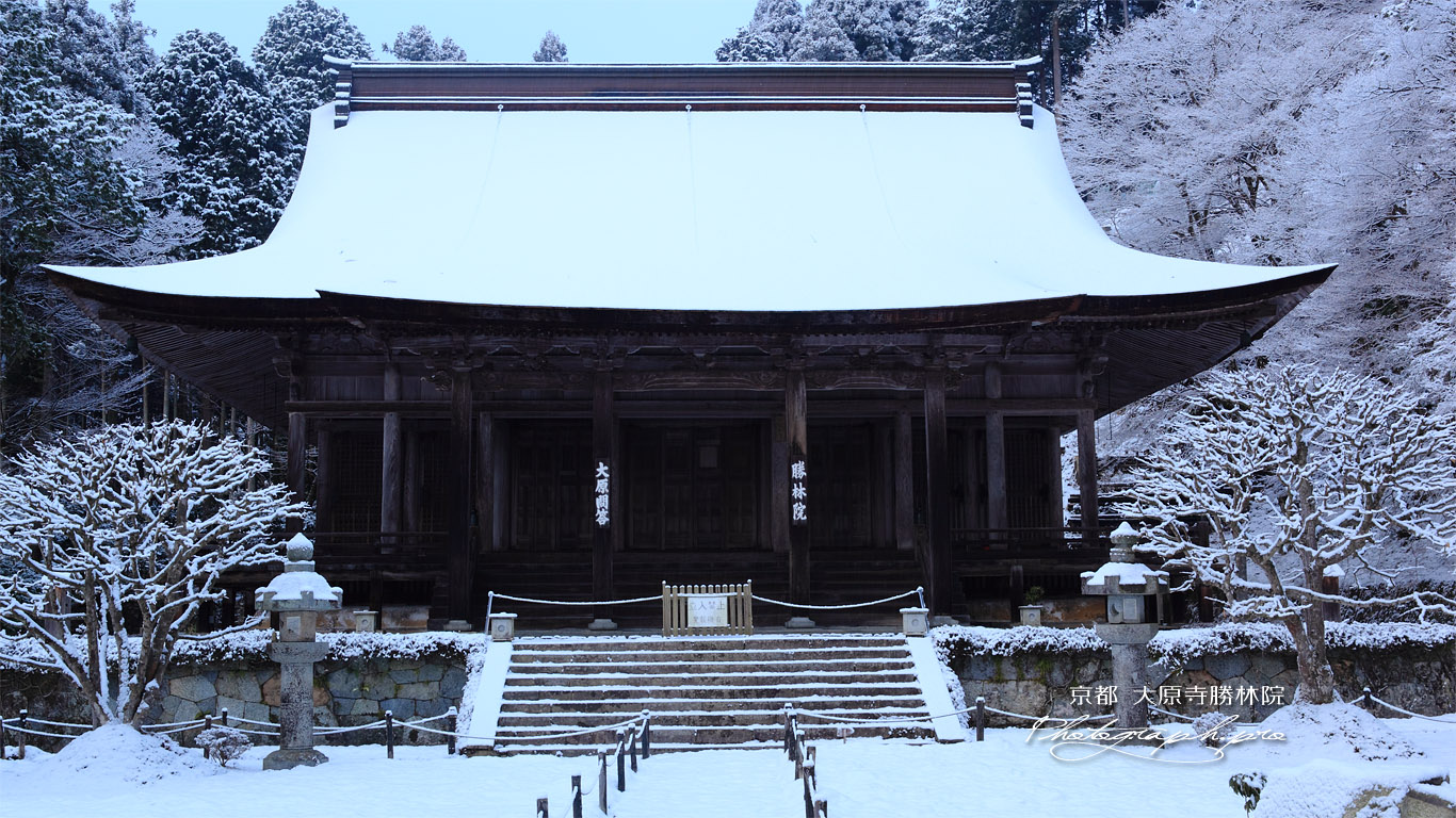 勝林院 雪化粧の本堂 壁紙