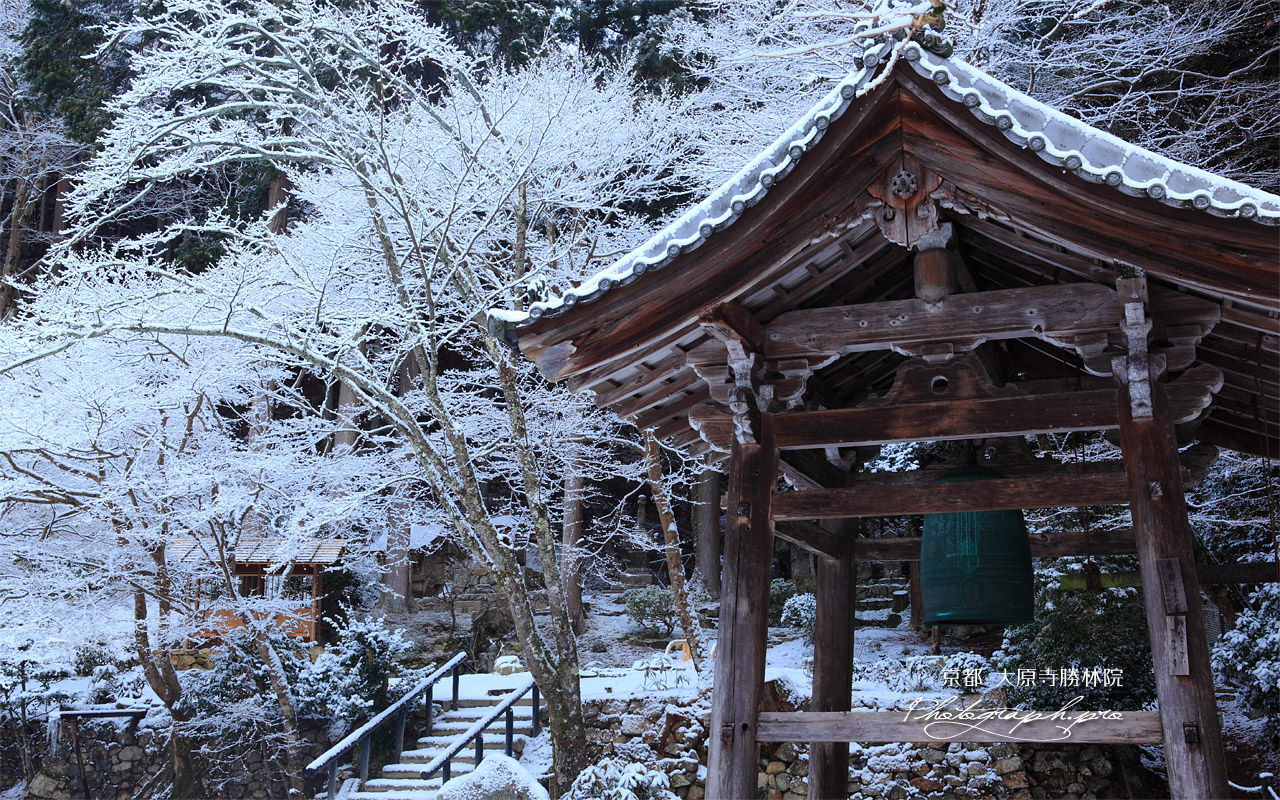 勝林院 鐘楼と雪の華 壁紙