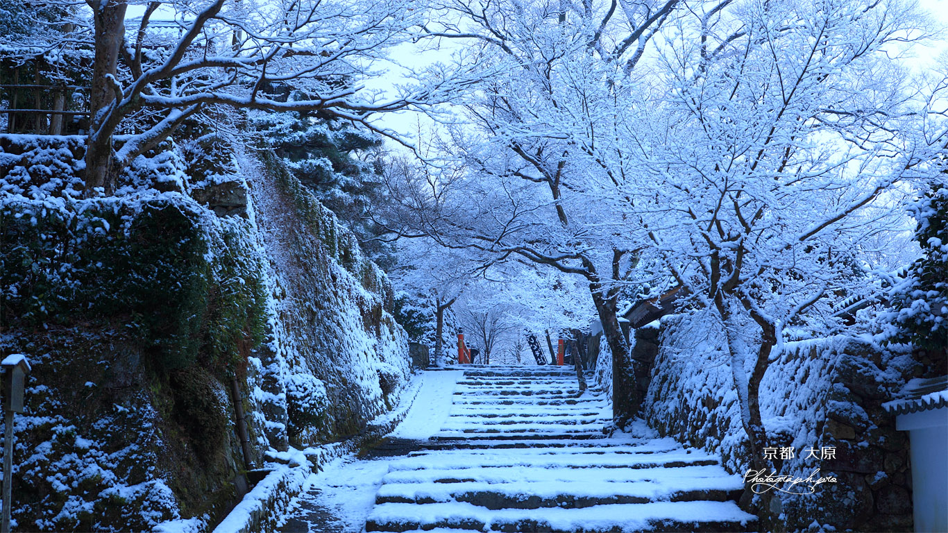 大原 大原女の小路の雪花 壁紙
