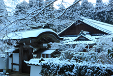 浄蓮華院