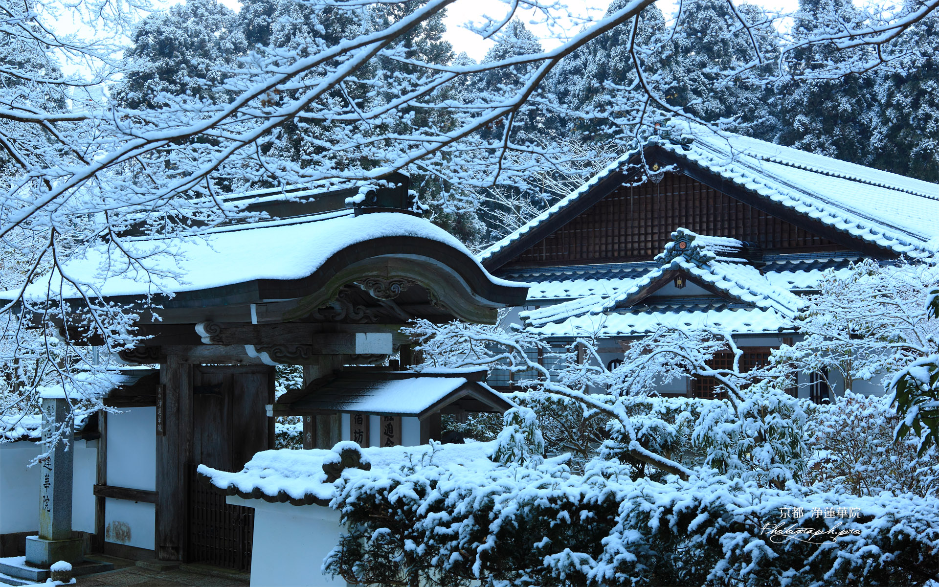 浄蓮華院 雪景色