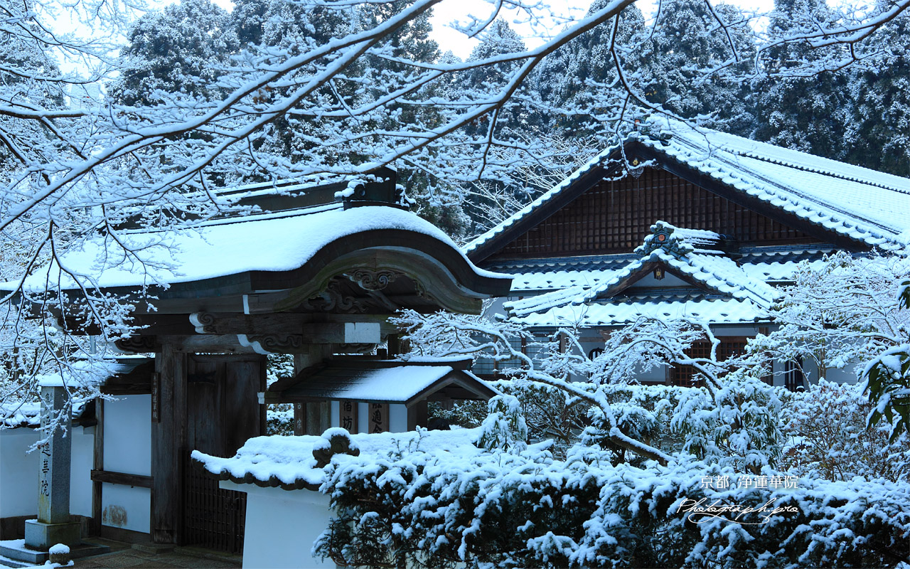 浄蓮華院 雪景色 壁紙