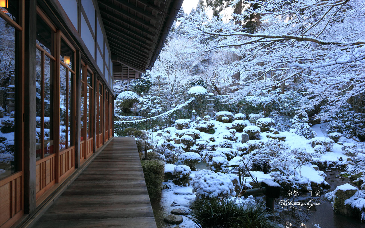 三千院 客殿と聚碧園 壁紙