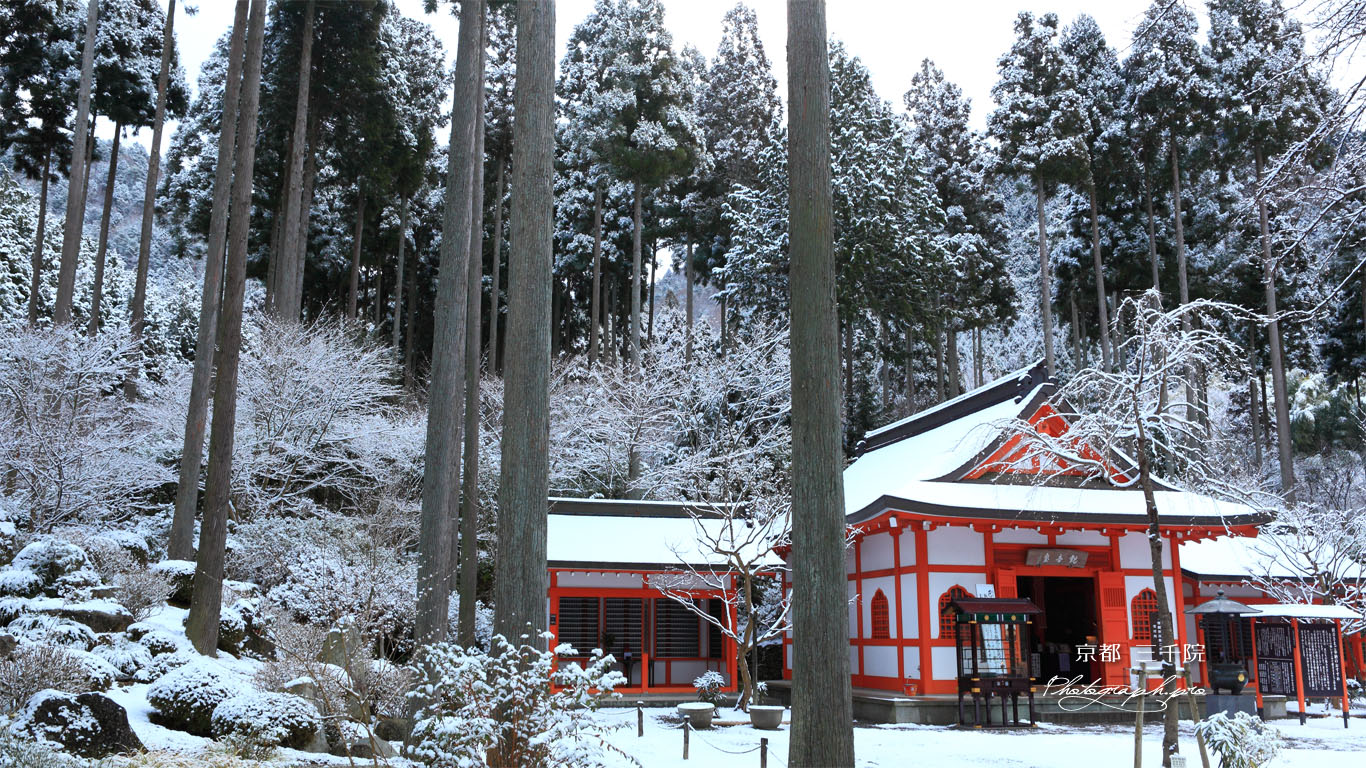 三千院 観音堂 壁紙