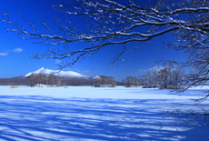 大沼公園