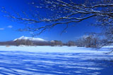 大沼公園