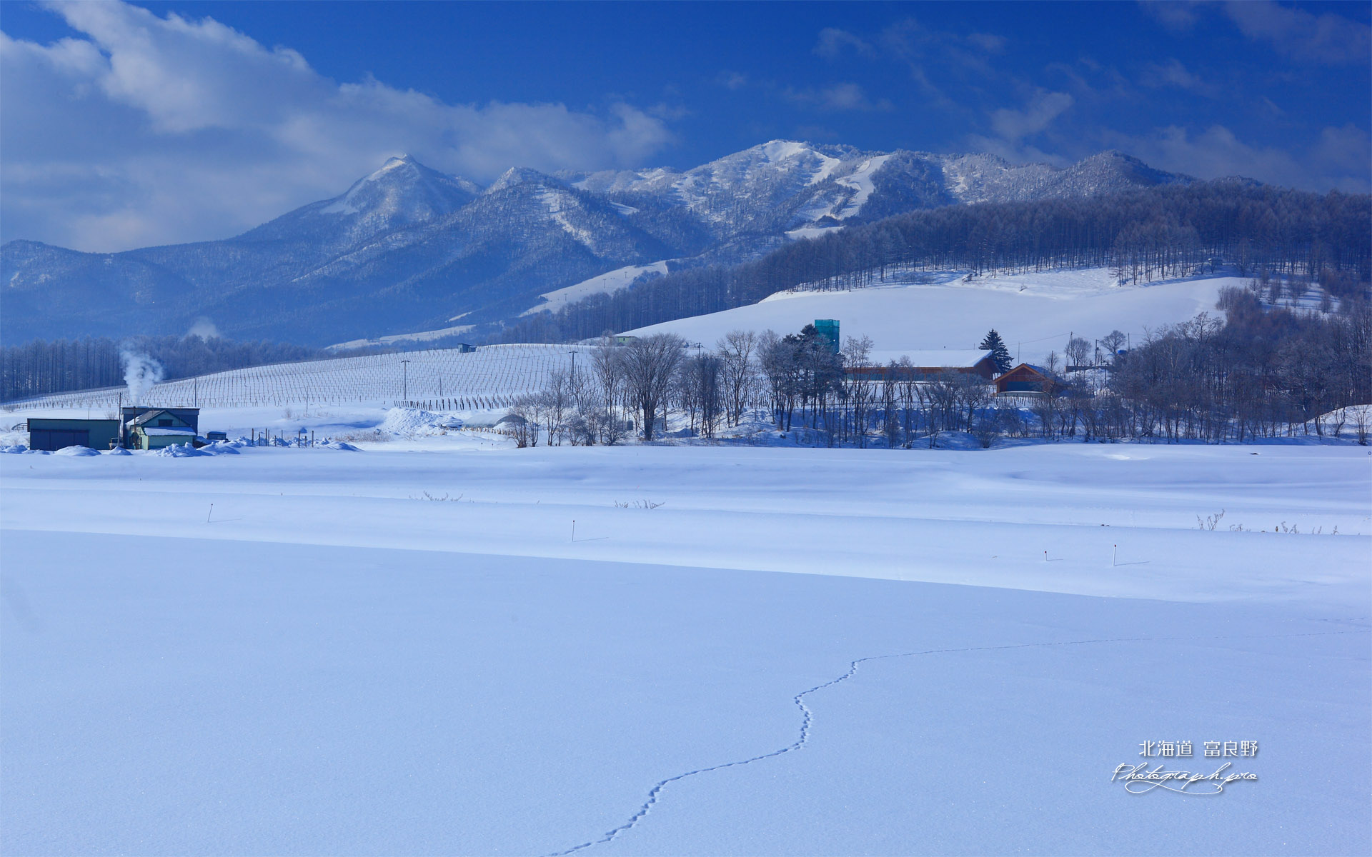 雪原の足跡と夕張山地